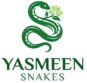 Yasmeen Snakes