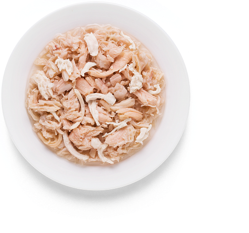 CHICKEN FILLET & SALMON 70 gr