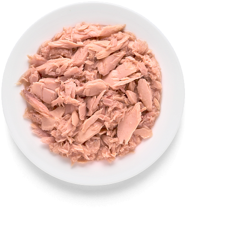 TUNA FILLET 70 gr