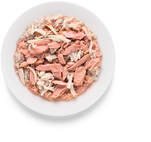TUNA FILLET & SALMON 70 gr