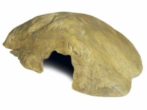 מערת מסתור דקורטיבית לזוחלים – Cave Hide